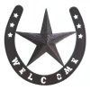 Lonestar Welcome Wall Country Decor